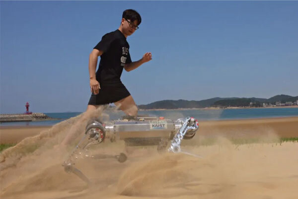 تصویر سگ رباتیکی که روی شن ها راه می رود