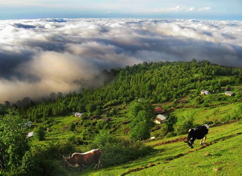 فیلبند، سفر به سرزمین ابرها در تابستان